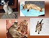 Elise's Savannah
